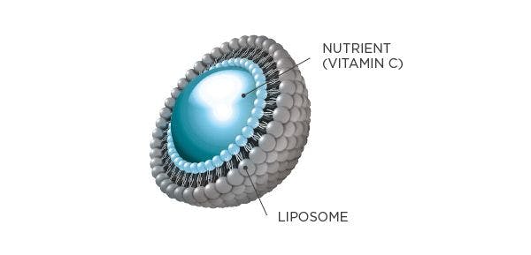 Seccion transversal de un liposoma