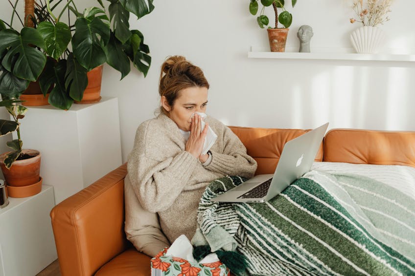 How to Avoid the Flu How to Avoid the Flu